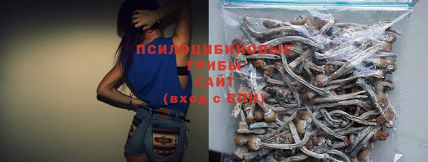 прущий лед Богородск