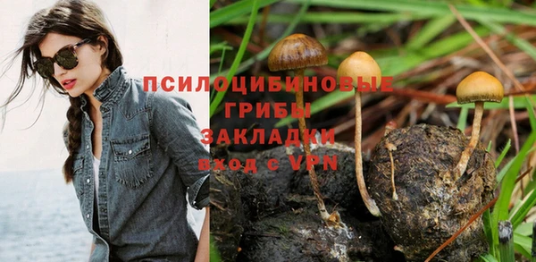 таблы Армянск
