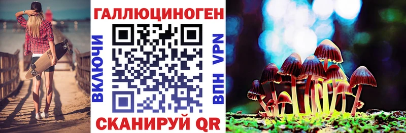 хочу Певек Псилоцибиновые грибы MAGIC MUSHROOMS